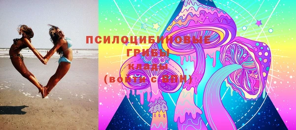 крисы Аркадак