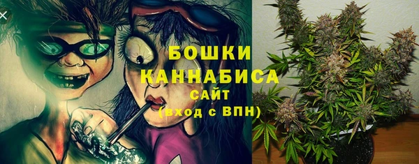 крисы Аркадак