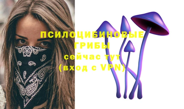 крисы Аркадак