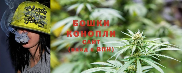 крисы Аркадак